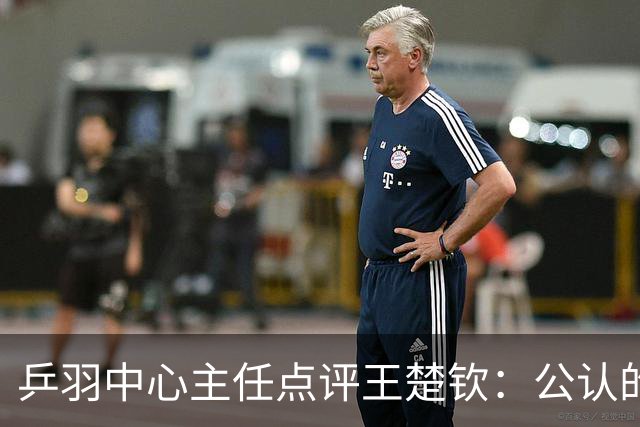 乒羽中心主任点评王楚钦：公认的天才，上限很高，但下限也很低，引发球迷热议