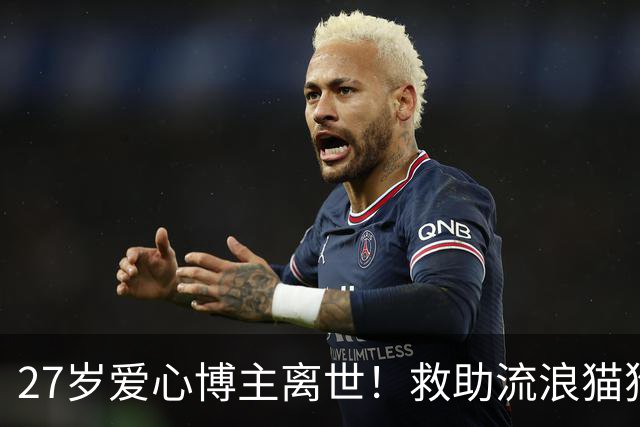 27岁爱心博主离世！救助流浪猫狗感染罕见真菌，ICU抢救22天，丈夫：她在我眼里没有缺点